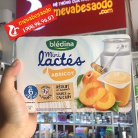 Sữa chua Bledina Pháp cho trẻ từ 6 tháng